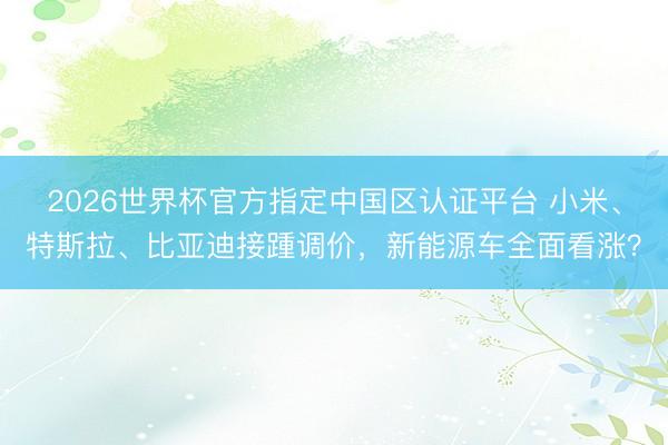 2026世界杯官方指定中国区认证平台 小米、特斯拉、比亚迪接踵调价，新能源车全面看涨？