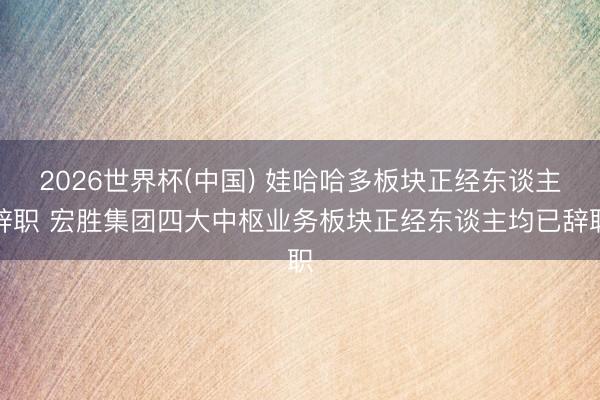 2026世界杯(中国) 娃哈哈多板块正经东谈主辞职 宏胜集团四大中枢业务板块正经东谈主均已辞职