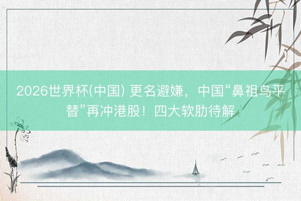 2026世界杯(中国) 更名避嫌，中国“鼻祖鸟平替”再冲港股！四大软肋待解