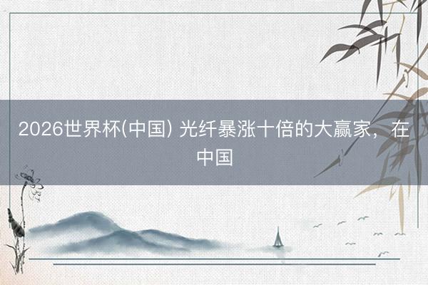 2026世界杯(中国) 光纤暴涨十倍的大赢家，在中国