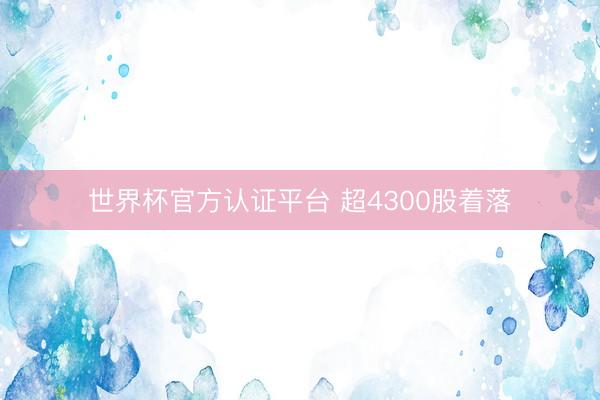 世界杯官方认证平台 超4300股着落