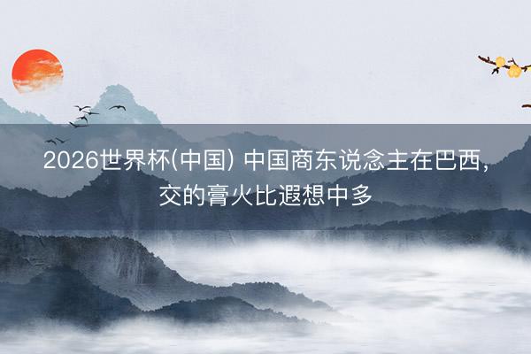 2026世界杯(中国) 中国商东说念主在巴西，交的膏火比遐想中多