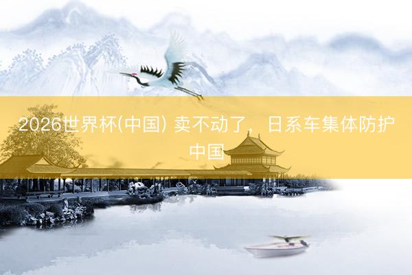 2026世界杯(中国) 卖不动了,日系车集体防护中国