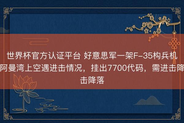 世界杯官方认证平台 好意思军一架F-35构兵机在阿曼湾上空遇进击情况，挂出7700代码，需进击降落