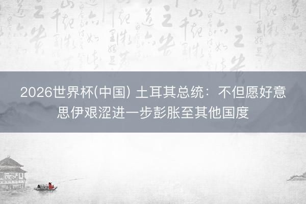 2026世界杯(中国) 土耳其总统：不但愿好意思伊艰涩进一步彭胀至其他国度
