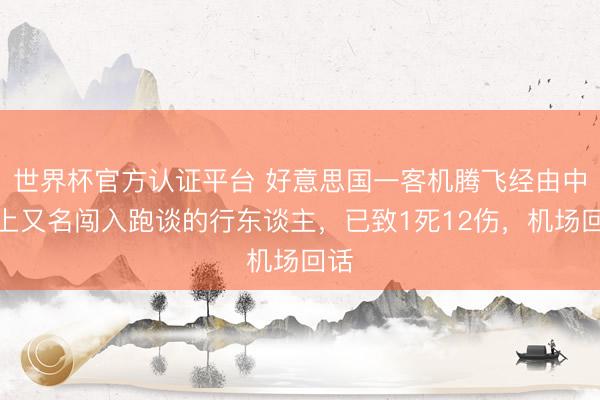 世界杯官方认证平台 好意思国一客机腾飞经由中撞上又名闯入跑谈的行东谈主,已致1死12伤,机场回话