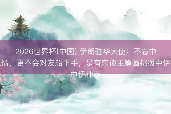 2026世界杯(中国) 伊朗驻华大使：不忘中国恩情，更不会对友船下手，是有东谈主筹画挑拨中伊神志