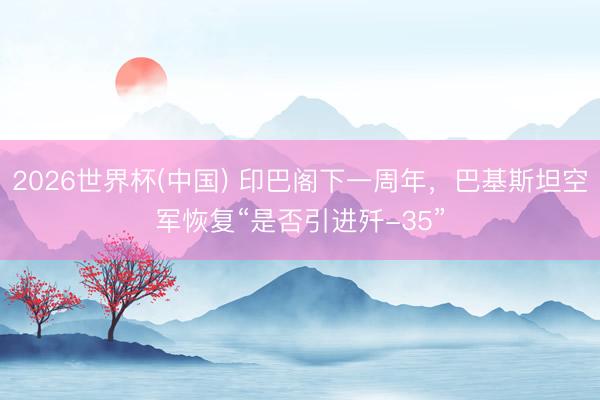 2026世界杯(中国) 印巴阁下一周年，巴基斯坦空军恢复“是否引进歼-35”
