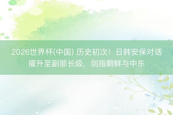 2026世界杯(中国) 历史初次！日韩安保对话擢升至副部长级，剑指朝鲜与中东