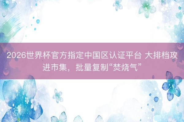 2026世界杯官方指定中国区认证平台 大排档攻进市集，批量复制“焚烧气”