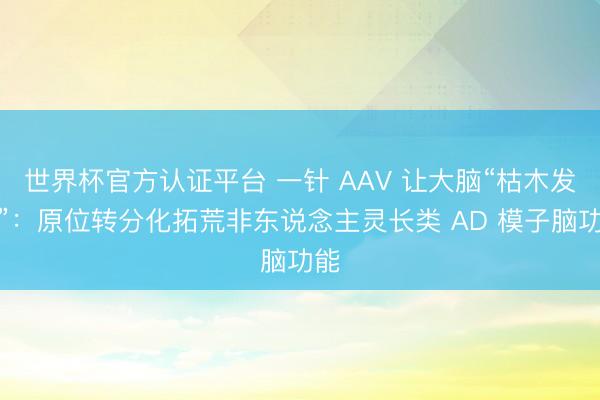 世界杯官方认证平台 一针 AAV 让大脑“枯木发荣”：原位转分化拓荒非东说念主灵长类 AD 模子脑功能