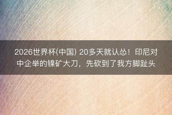 2026世界杯(中国) 20多天就认怂！印尼对中企举的镍矿大刀，先砍到了我方脚趾头