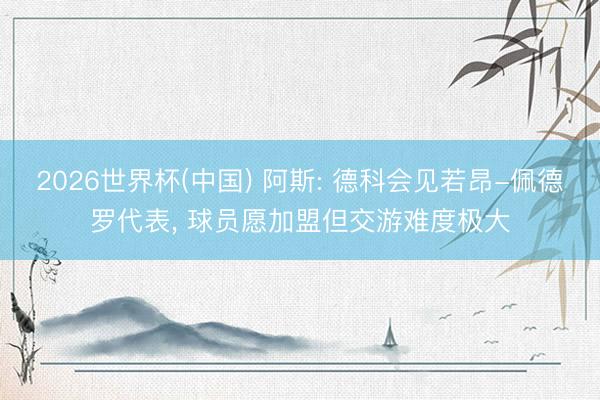 2026世界杯(中国) 阿斯: 德科会见若昂-佩德罗代表， 球员愿加盟但交游难度极大