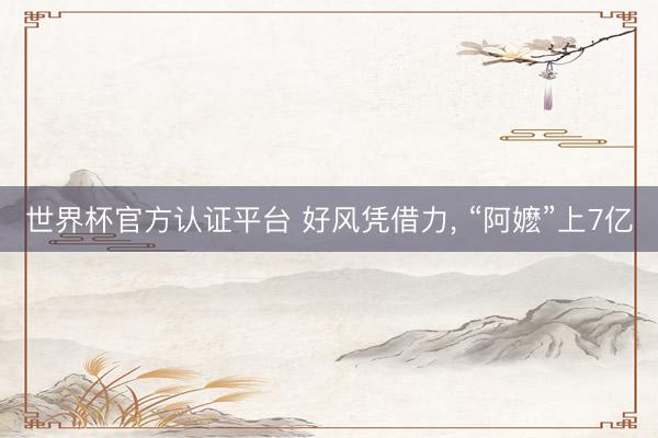 世界杯官方认证平台 好风凭借力， “阿嬷”上7亿