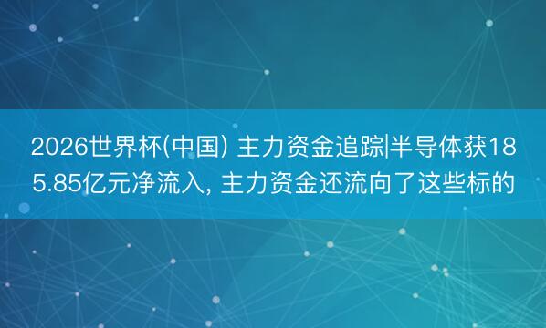 2026世界杯(中国) 主力资金追踪|半导体获185.85亿元净流入, 主力资金还流向了这些标的