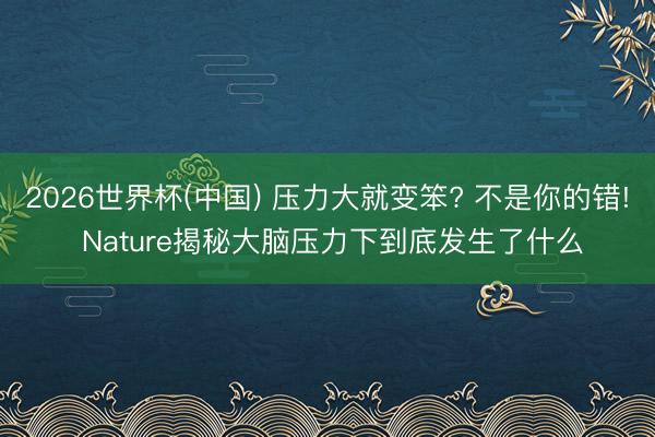 2026世界杯(中国) 压力大就变笨? 不是你的错! Nature揭秘大脑压力下到底发生了什么