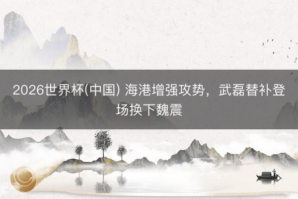 2026世界杯(中国) 海港增强攻势，武磊替补登场换下魏震