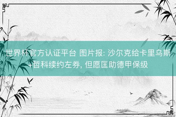 世界杯官方认证平台 图片报: 沙尔克给卡里乌斯+哲科续约左券, 但愿匡助德甲保级