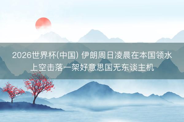 2026世界杯(中国) 伊朗周日凌晨在本国领水上空击落一架好意思国无东谈主机