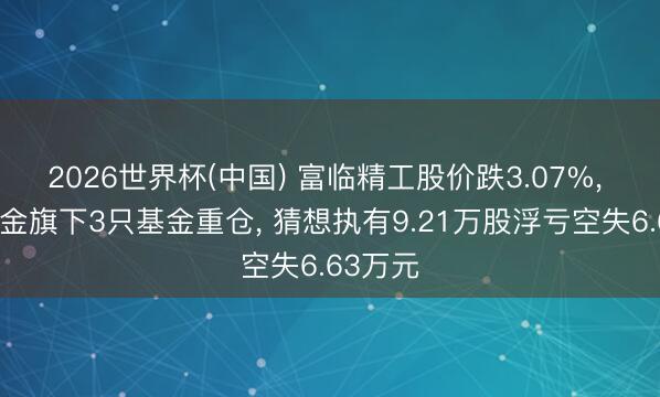 2026世界杯(中国) 富临精工股价跌3.07%, 万家基金旗下3只基金重仓, 猜想执有9.21万股浮亏空失6.63万元