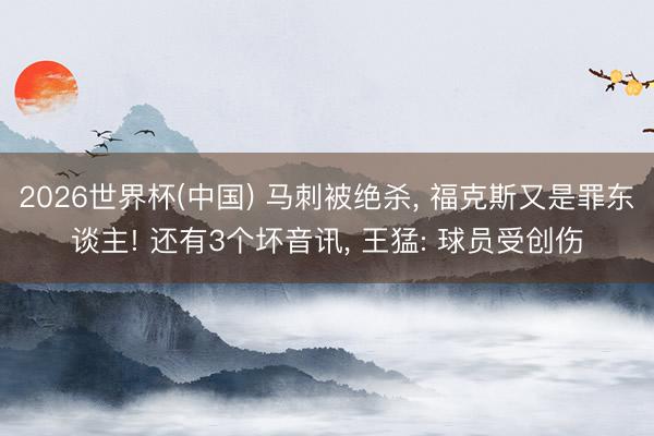 2026世界杯(中国) 马刺被绝杀, 福克斯又是罪东谈主! 还有3个坏音讯, 王猛: 球员受创伤